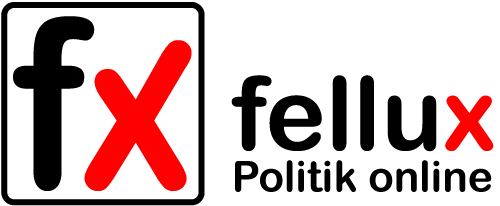 fellux UG – Monitoring, Lagebilder und Kommunikation
